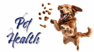 Pet Health